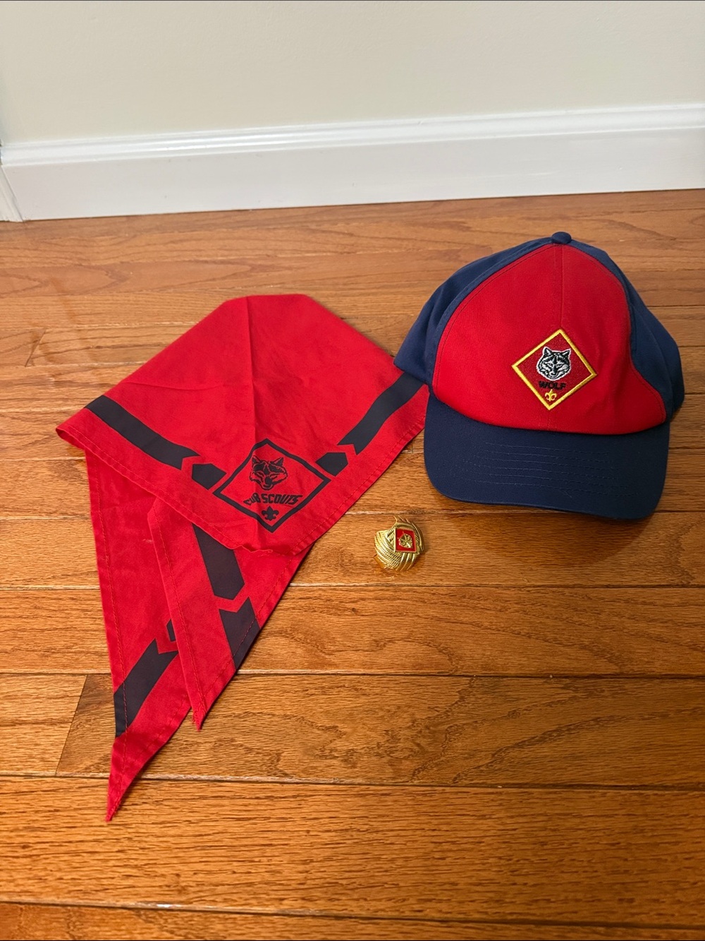 Cub Scouts Red & Navy Cub Scout Hat with Red Neckerchief and Pin